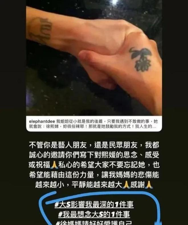 不仅是珠宝连家具都搬空了小S欲盖弥彰AG真人国际大S豪宅被搬空更多细节(图11)