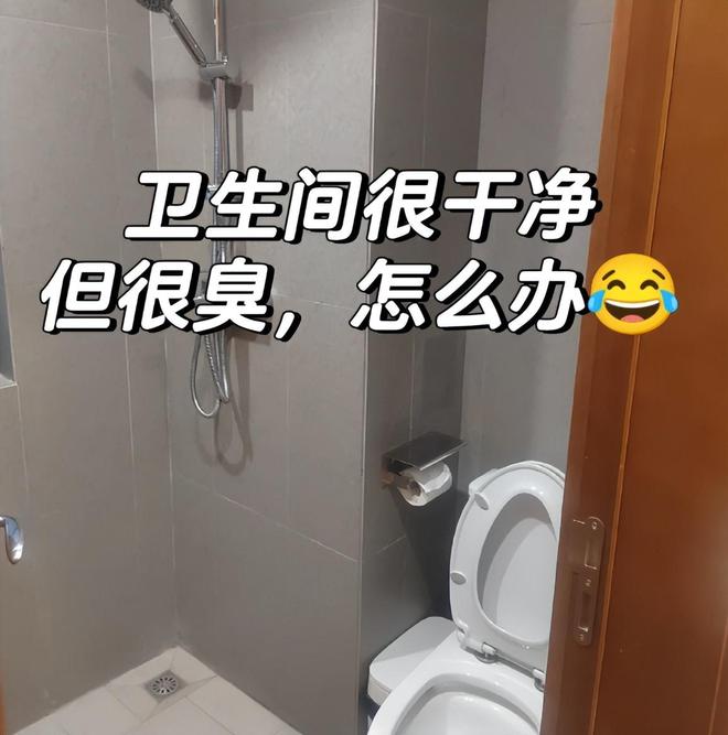 有原因的！这9个小玩意物美价廉还好用AG真人澳门百家家乐对拼夕夕上瘾都是(图11)