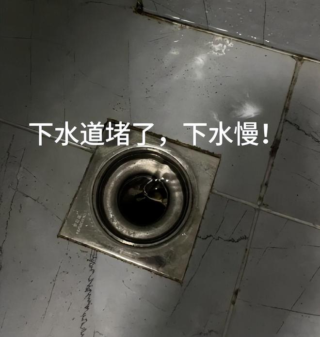 有原因的！这9个小玩意物美价廉还好用AG真人澳门百家家乐对拼夕夕上瘾都是(图16)